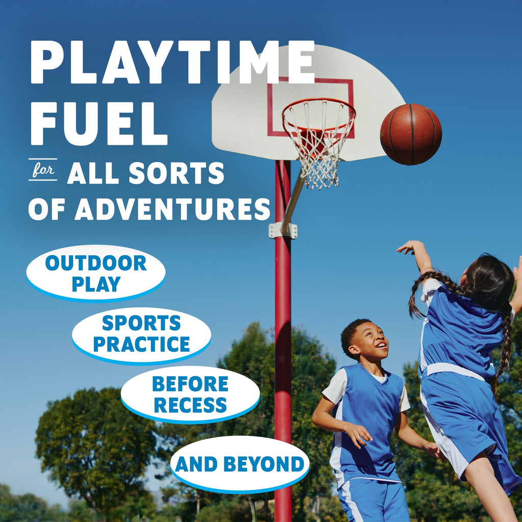 Zbar Iced Oatmeal Cookie Soft-Baked Energy Snack Bars, Organic Granola Bars